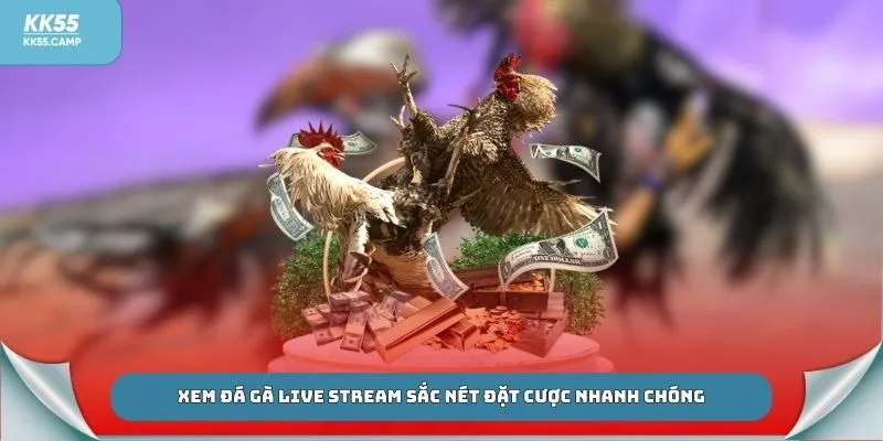 Xem đá gà live stream sắc nét đặt cược nhanh chóng