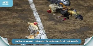 Trường gà tho mo