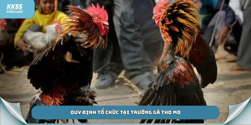 Quy định tổ chức tại trường gà Tho Mo